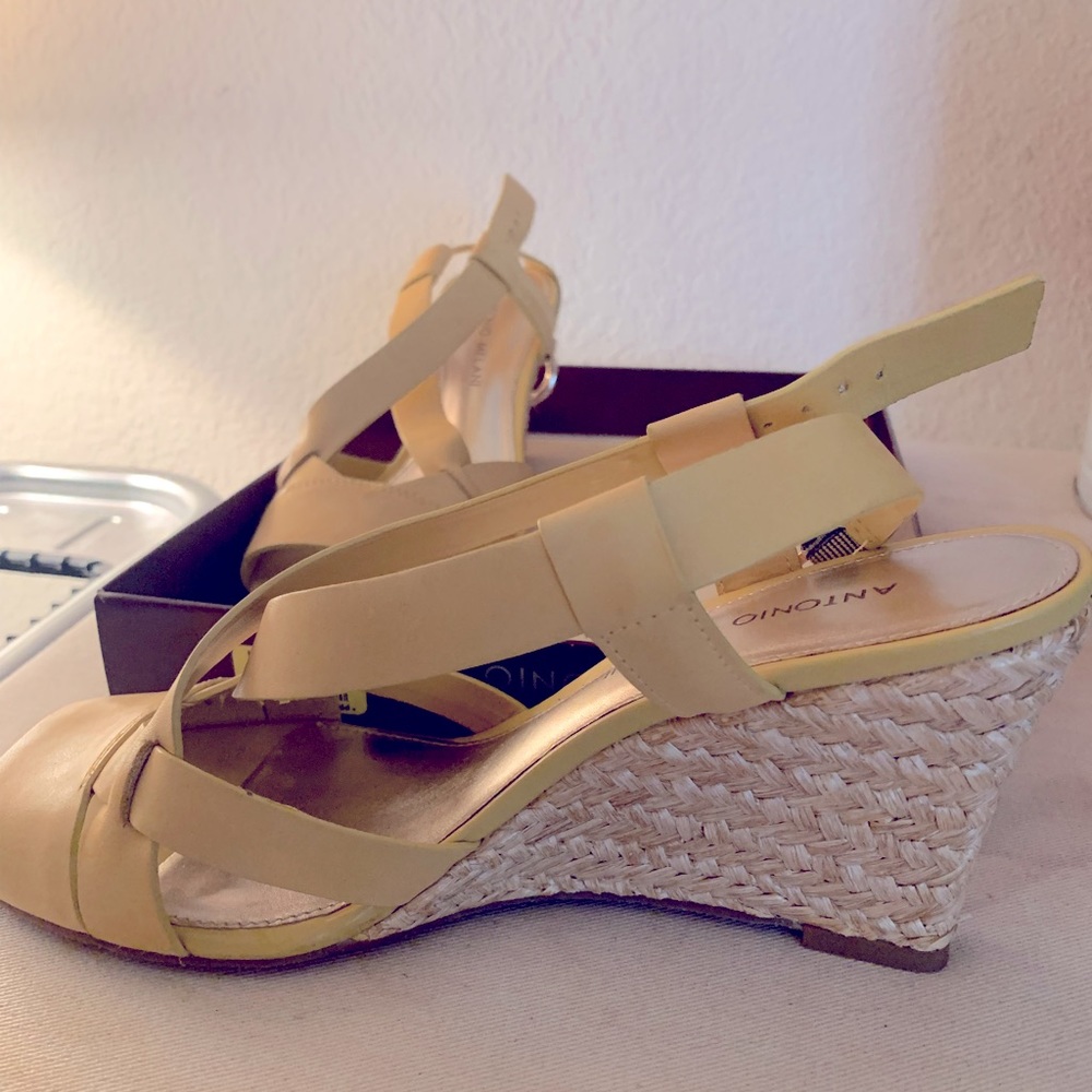 Antonio Melani wedge heels